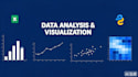 do professional data analysis and visualization using python and excel