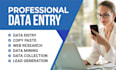 do expert data entry web research copy paste and excel data cleaning