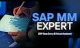 be your sap mm expert, erp data entry and virtual assistant