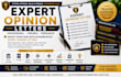 write technical expert opinion letters for uscis immigration cases