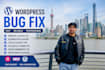 fix wordpress bugs, errors, CSS, plugin, and elementor issues