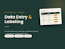 data entry, data labeling tasks