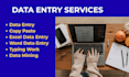 do professional data entry, copy paste, and excel data entry work