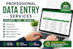 do data professional entry