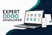 develop a fast and secure odoo website