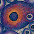 draw abstract digital illustrations and aboriginal art