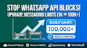 do meta business verification and whatsapp business API setup