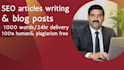 writing SEO articles and blog in simple english