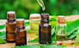 write top unique article on cannabis, hemp, and cbd and blog post