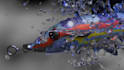 video editing for ads, sound design, and 3d animation