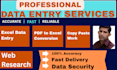 do professional data entry and copy paste work