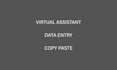 do professional data entry and virtual assistant tasks