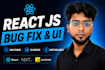 fix react js bugs, frontend issues and UI problems