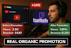 promote your youtube or twitch live stream using ads and SEO strategy