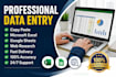 do data entry, copy paste, excel and web research
