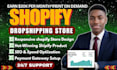 create a professional shopify store