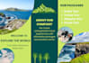 design a modern professional tri fold brochure