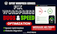 fix wordpress bugs, do wordpress speed optimization and migration