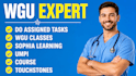 do straighterline, sophia learning, wgu and walden tasks