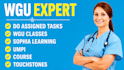 do sophia learning, online course help, studycom, straighterline, assigned tasks
