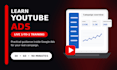 teach you youtube ads with 1 on 1 coaching