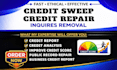 do professional credit sweep, remove late payments, collection, charge offs