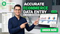 do accurate data entry virtual assistances in excel data