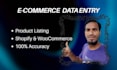 do expert e commerce product listing and data entry for your store