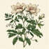 create botanical illustration art for you