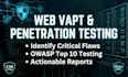 do web application vulnerability assessment and pentest