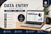 do professional data entry, ms word and excel