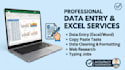 do professional data entry, excel data entry