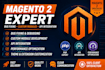 magento 2 bugs, develop custom modules and integrate apis