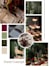 do graphic designing and content writing