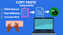 do copy paste, data entry, web research and excel data entry