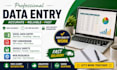 do professional data entry in excel and google sheets
