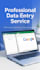 do data entry, excel and google sheets work