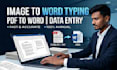 do image to word typing, PDF to word, and manual data entry
