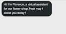 build ai chatbot for your shop website
