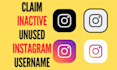 carry out a professional username claim for inactive instgram handle