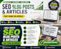 write SEO tech articles and blog posts