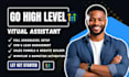 develop gohighlevel custom app as your gohighlevel virtual assistant expert