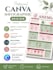 design a professional canva infographic