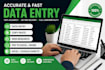 do accurate data entry, excel, copy paste and wep research