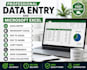 do professional data entry excel data entry copy paste