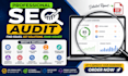 do professional SEO audit