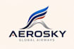 design a professional modern airplane logo