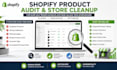 audit and clean up your shopify product catalog