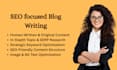 do SEO focused blog writing