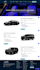 design a professional limo service website